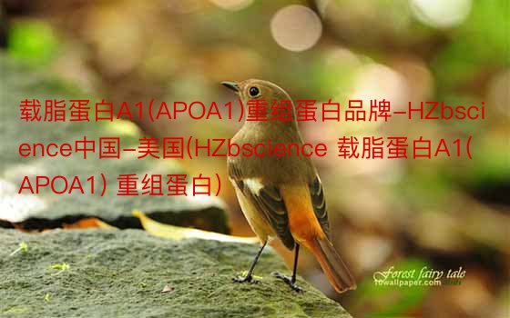 载脂蛋白A1(APOA1)重组蛋白品牌-HZbscience中国-美国(HZbscience 载脂蛋白A1(APOA1) 重组蛋白)